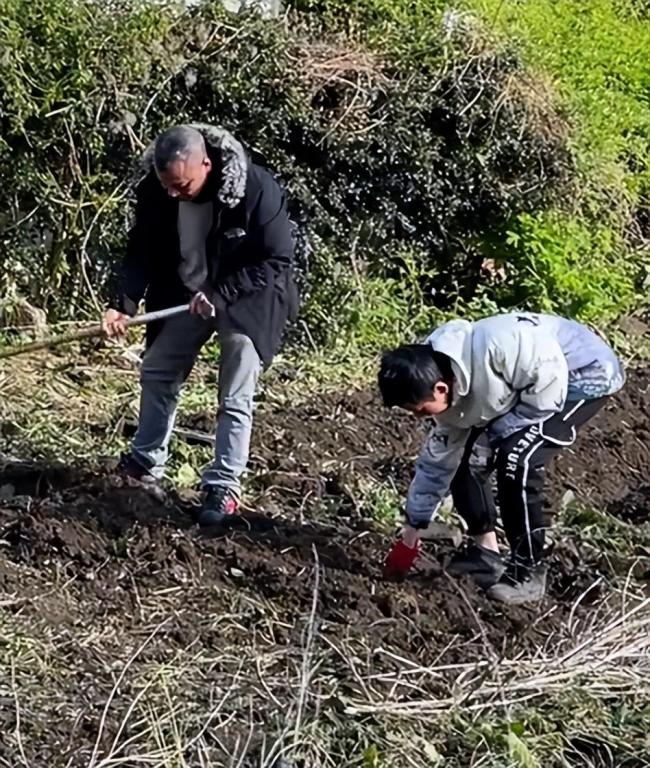 法国绿色革命新篇章，华人市长特批开垦种菜，跨文化传播展现生机