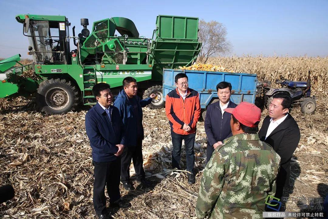 内蒙古新增耕地挑战与机遇并存，力争新增4万亩耕地之路