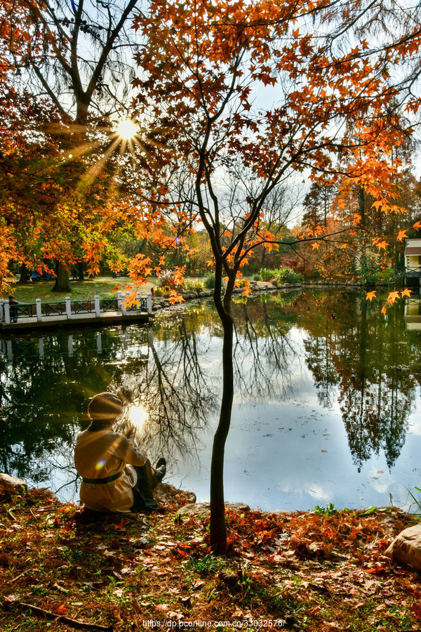 醉美初冬风景如画