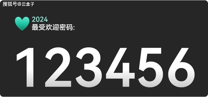 揭秘，2024年度最糟糕密码背后的故事与警示，安全警钟长鸣