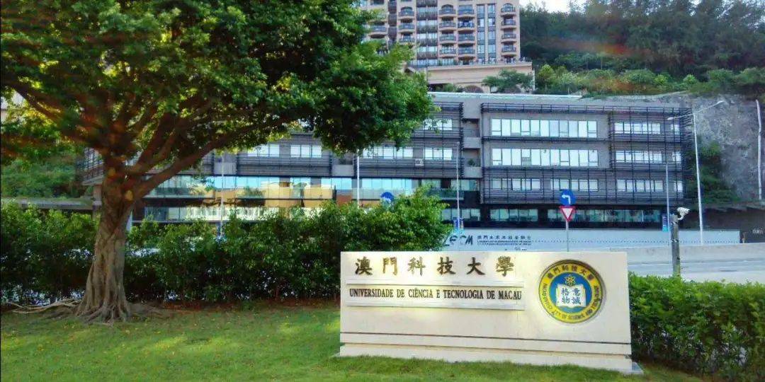 内地学生假学历入读澳门科技大学事件揭秘，警示与反思