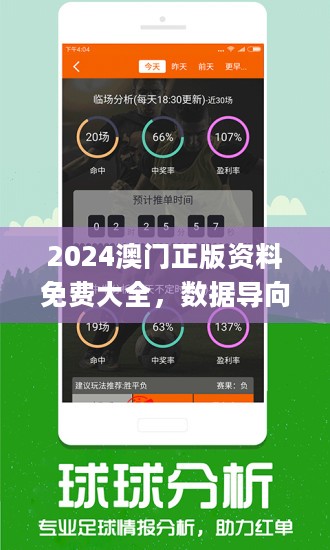 2024新澳门正版免费资木车,稳定性计划评估_网页款63.908