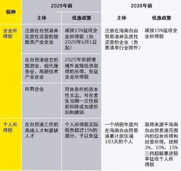 2024新澳门天天开好彩大全正版,全面理解计划_LT20.725