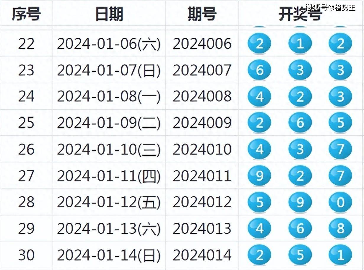 2024新澳开奖结果,实地分析数据方案_soft62.421