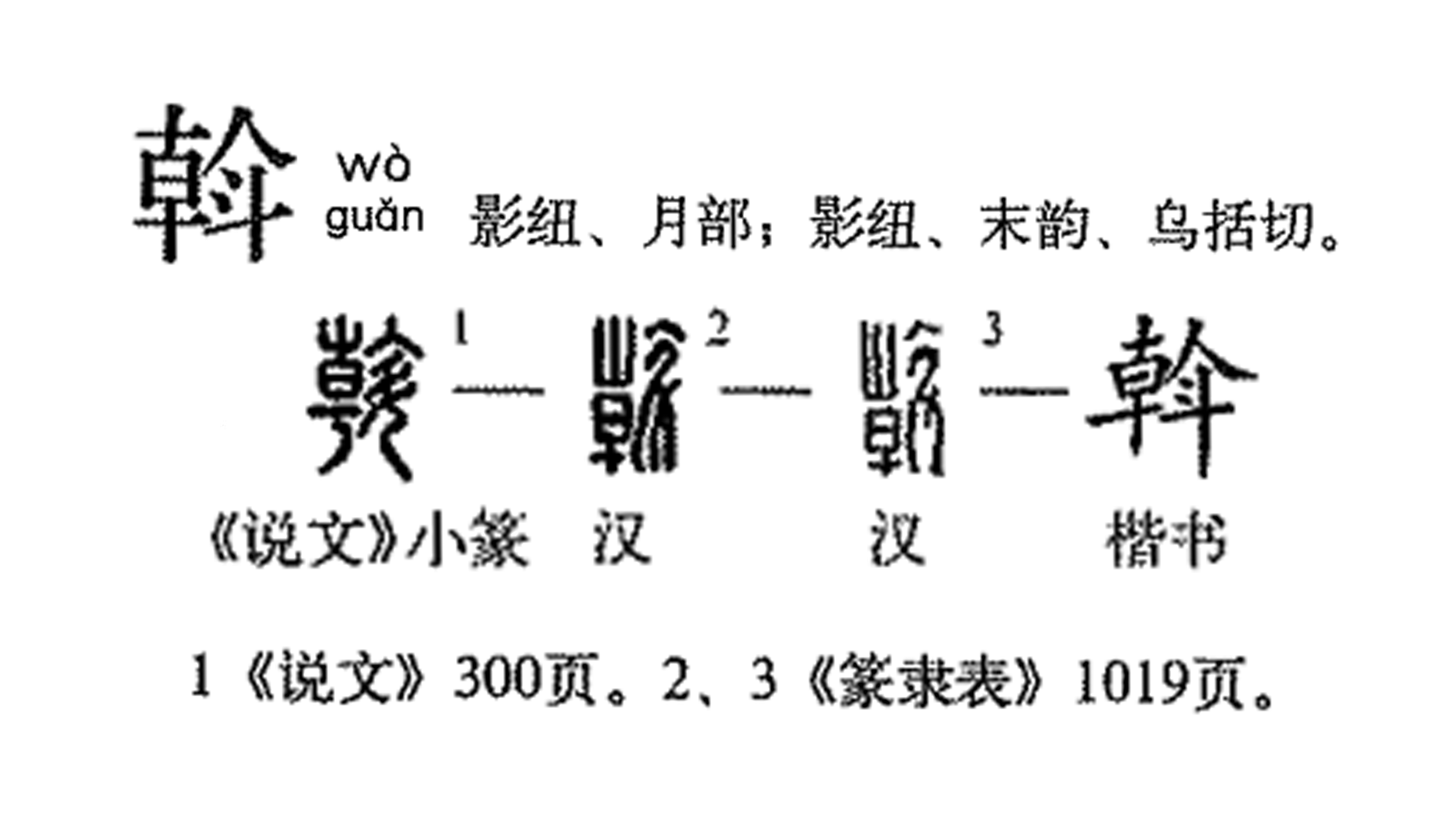 斡旋之力的探索与解析，读音及实践应用解析