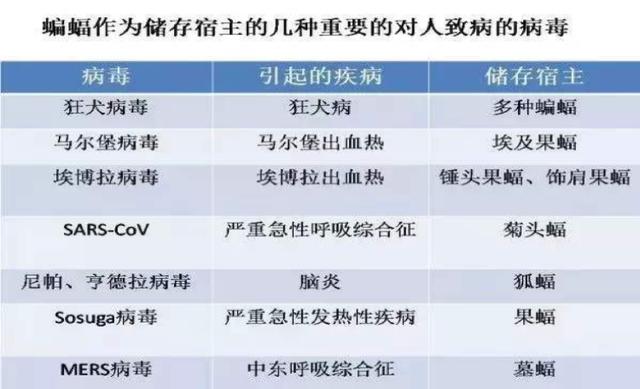 2024年开奖结果,权威诠释推进方式_精装款31.763