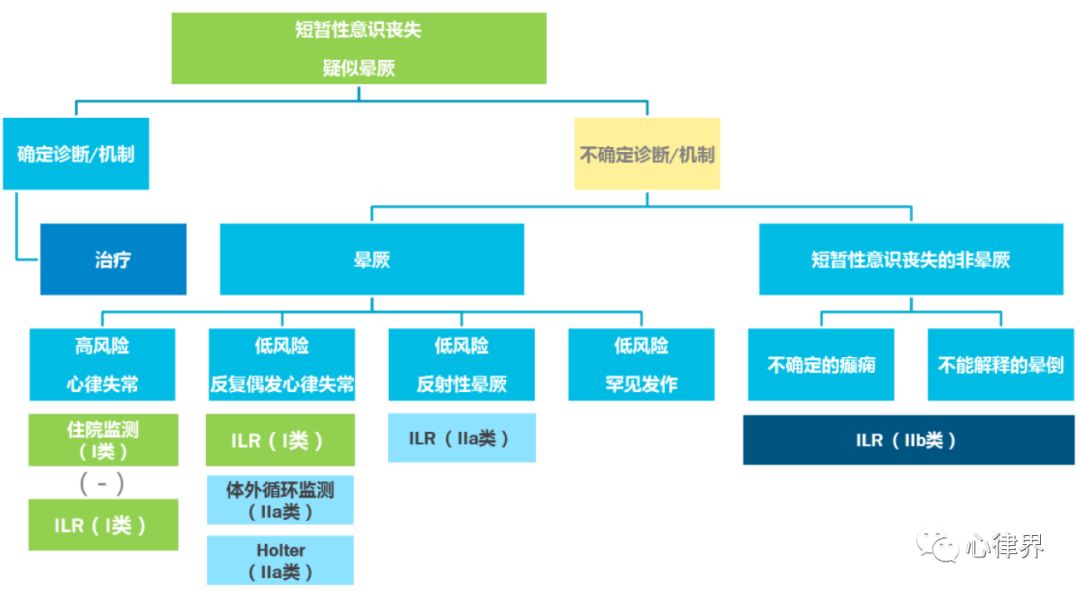 新奥门特免费资料大全,定性解析评估_LT12.890