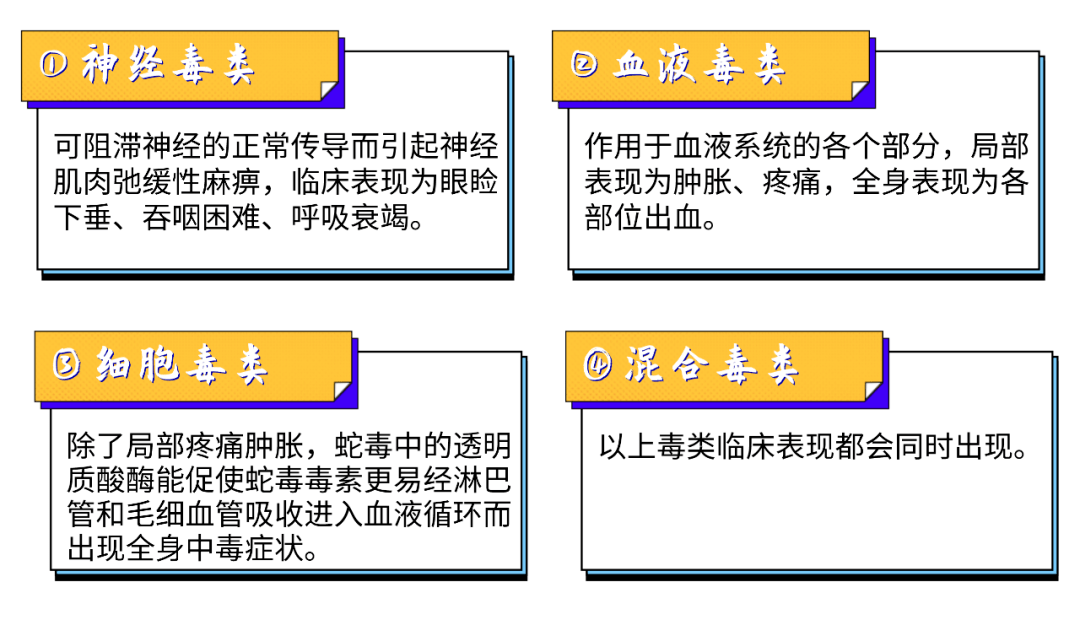 精准四肖三肖必中,具体操作步骤指导_XT90.259