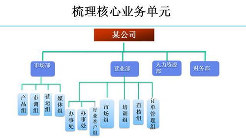 公司组织架构优化策略与步骤指南