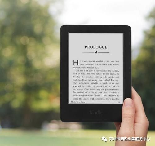 新澳2024今晚开奖结果,前沿说明评估_Kindle13.762