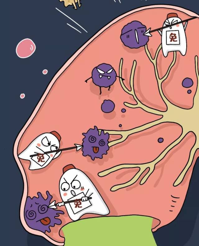 病毒生存机制深度解析，病毒靠什么饮食生存？