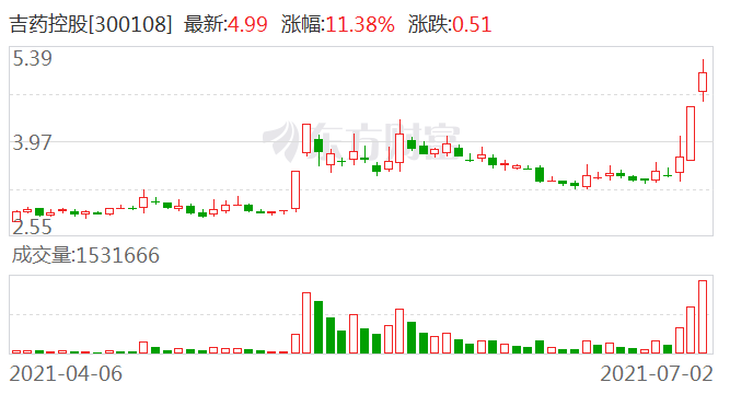 吉药控股股票深度解析及前景展望