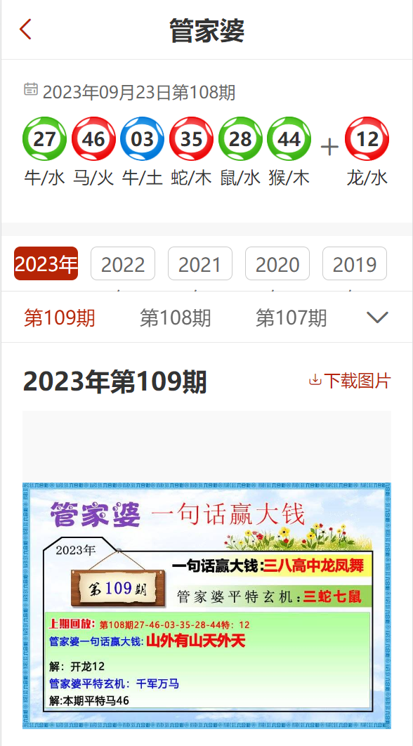 2024新澳管家婆精准正版资料,全面分析解释定义_WP版31.146