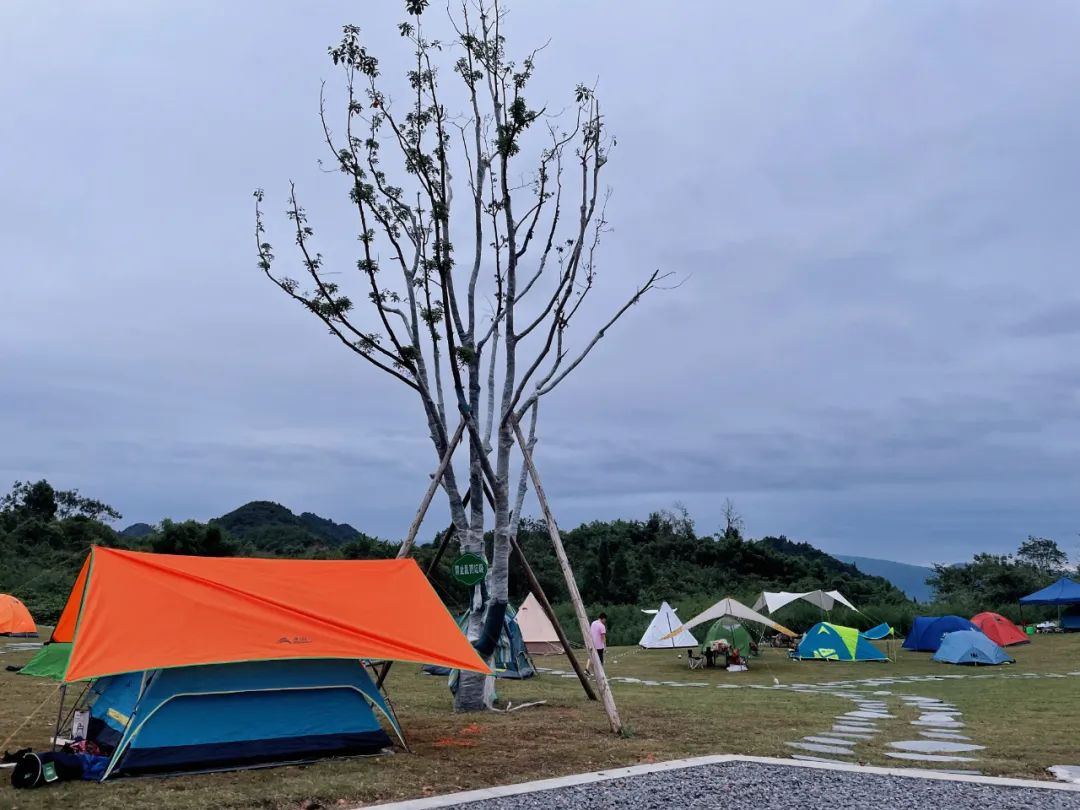 重庆露营地点推荐，星空下的城市魅力探索