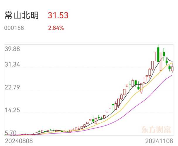 常山北明股票，投资潜力与市场前景深度解析