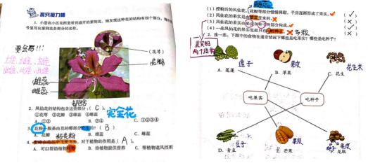 2024年12月 第1146页