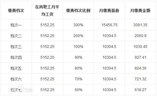 灵活就业在线计算器，助力个人与企业高效匹配与决策工具