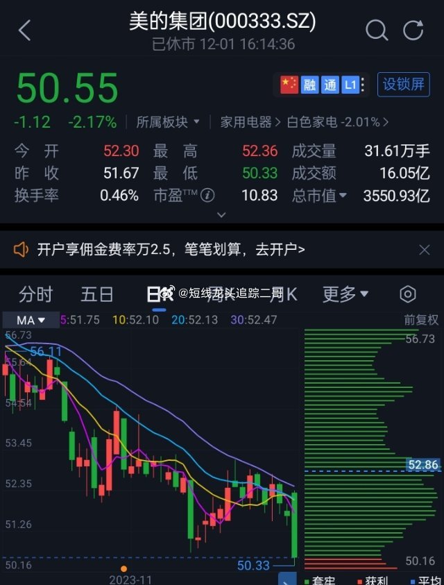 美的股票投资深度透视，全方位解读投资视角