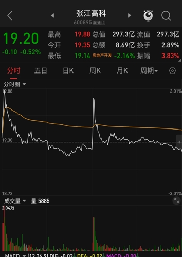 张江高科股吧，科技投资热门焦点解析