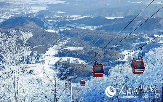 冰天雪地中的宝藏，探索与发现的金山银山