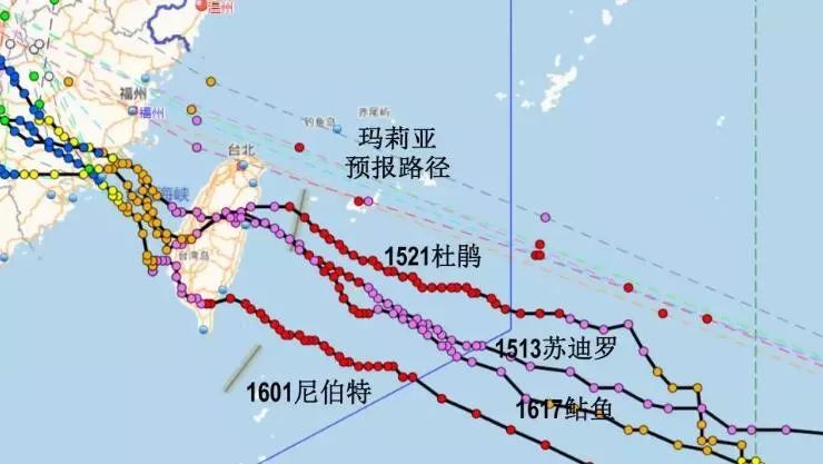 温州台风网实时查询台风路径图，掌握台风动态的关键工具