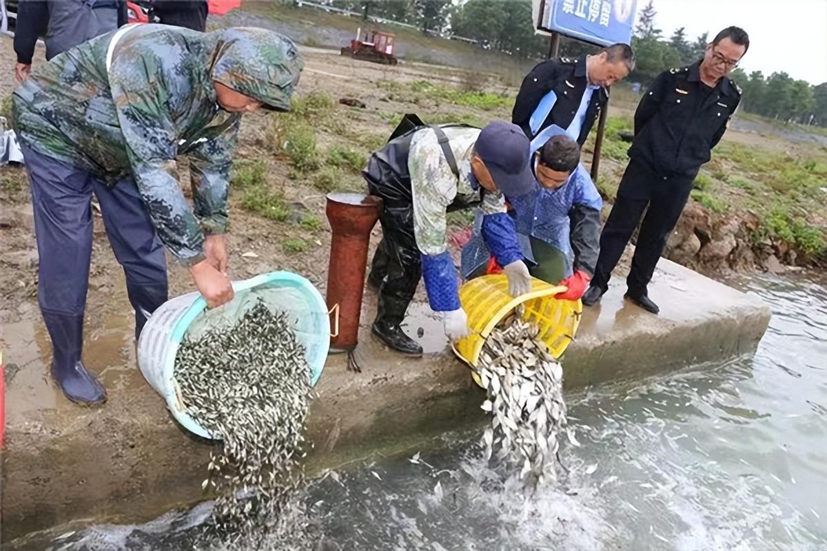 上海经济生态合作蓬勃发展势头强劲