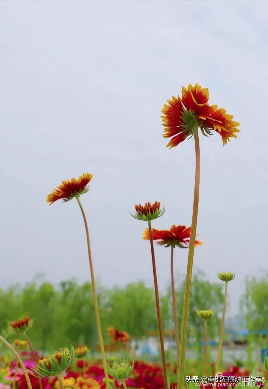 繁花里的人生道理