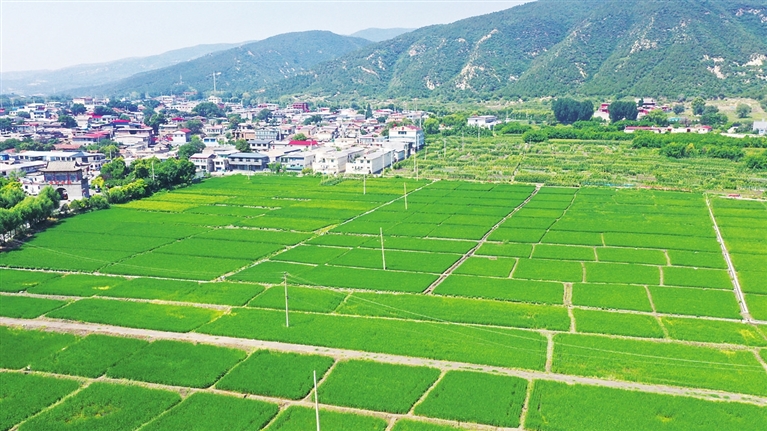 太原健康城市乡村，构建健康生活的蓝图