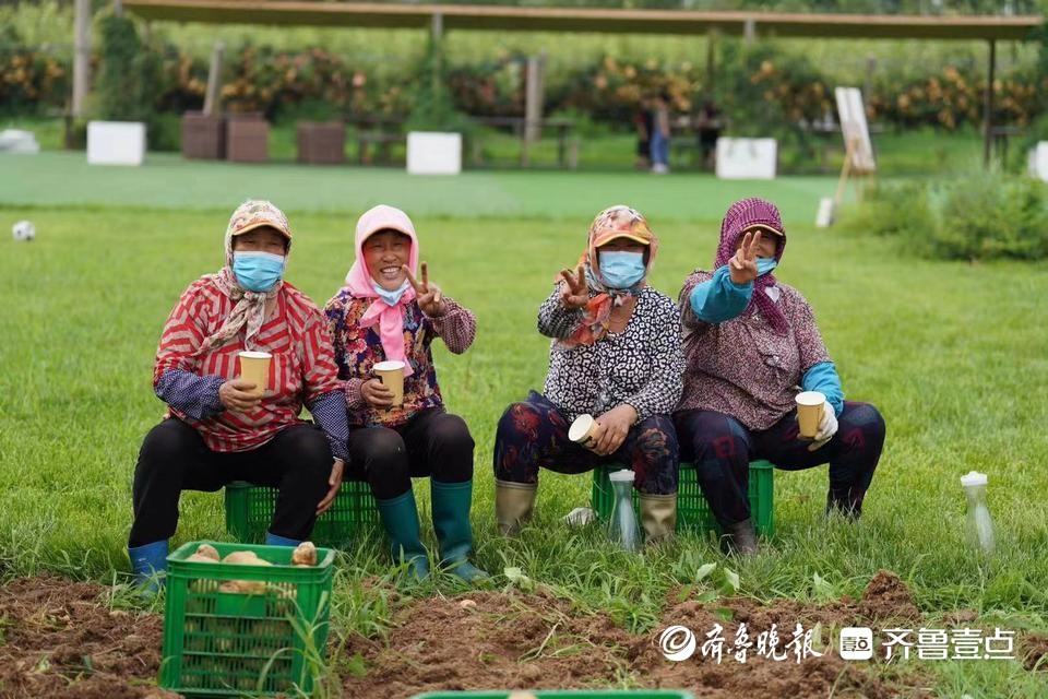 青岛乡村未来消费趋势展望与预测