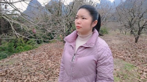 35岁未婚女子的乡村回归之旅