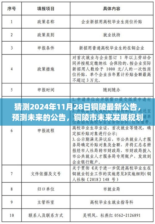 铜陵市社会科学院未来发展规划展望