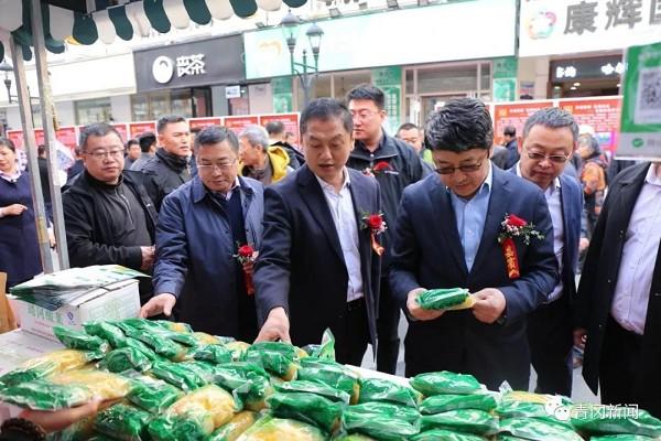 青冈镇最新领导团队概览