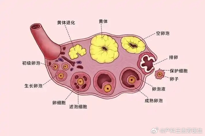 融资信息 第112页