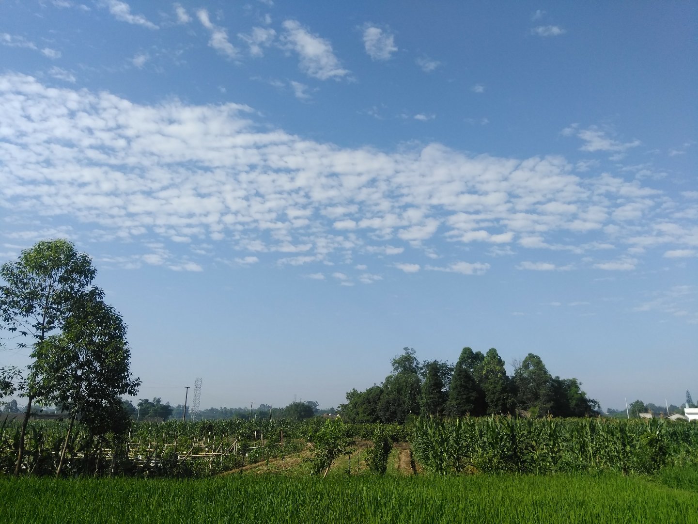 主星乡天气预报更新通知