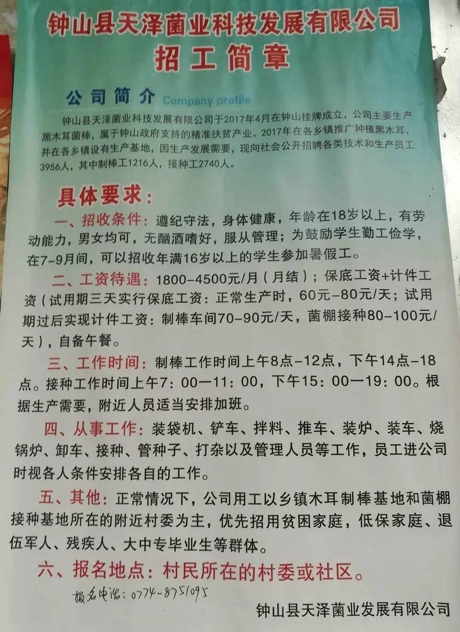 凉沙村最新招聘信息全面解析