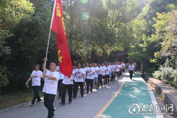 娄底园林管理局重塑城市绿色生态，打造宜居环境新篇章