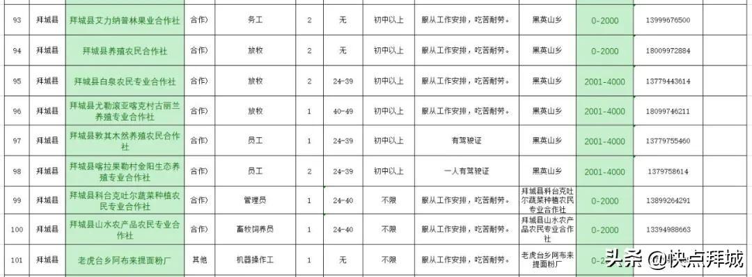 拜城县人民政府办公室最新招聘公告解读