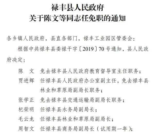 禄丰县审计局人事任命揭晓，新任领导将带来深远变革