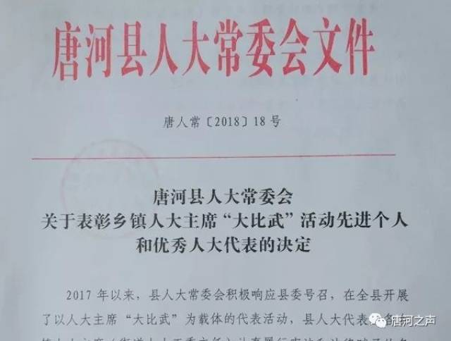 唐河县人民政府办公室人事任命，县域发展新篇章启动