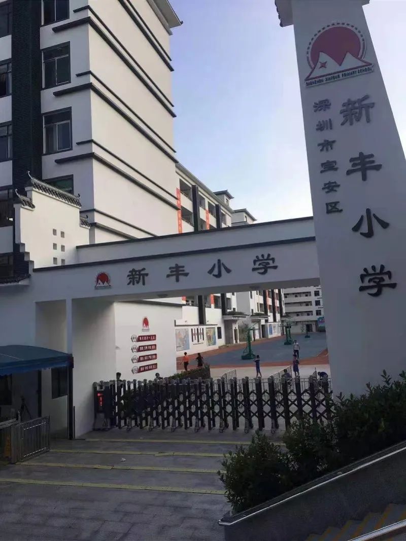 新丰县小学招聘公告概览