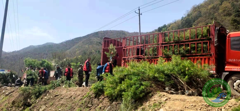 妙山林场绿色项目，探索无限发展可能