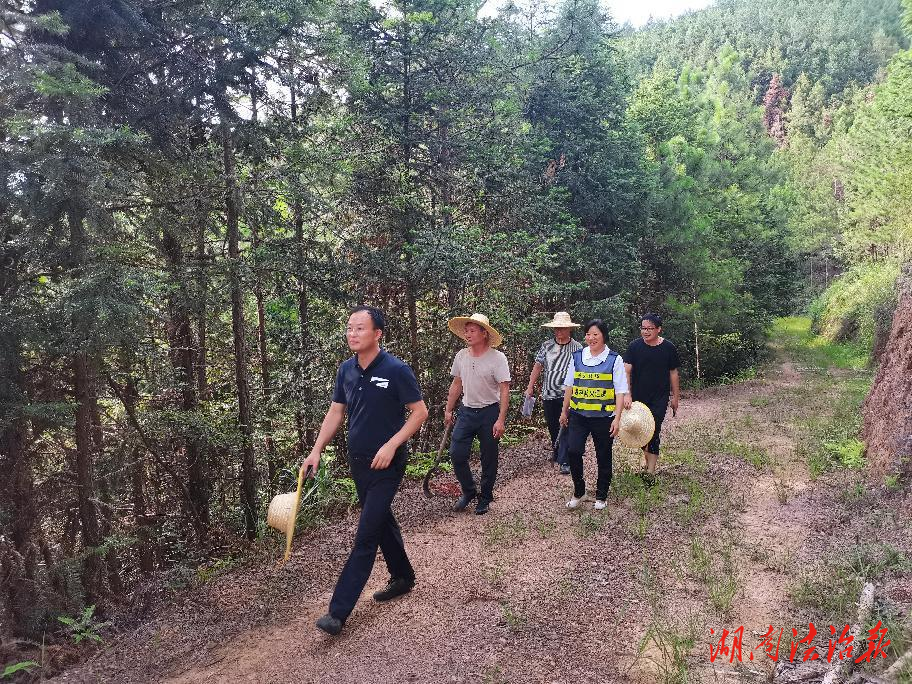 道县桥头林场绿色项目，探索与实践发展之路