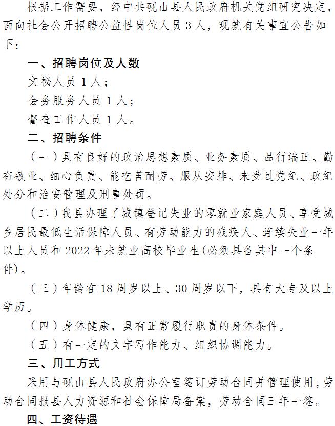 方山县应急管理局最新招聘启事