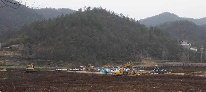 观音堂镇新项目，引领地方发展的强大动力源泉