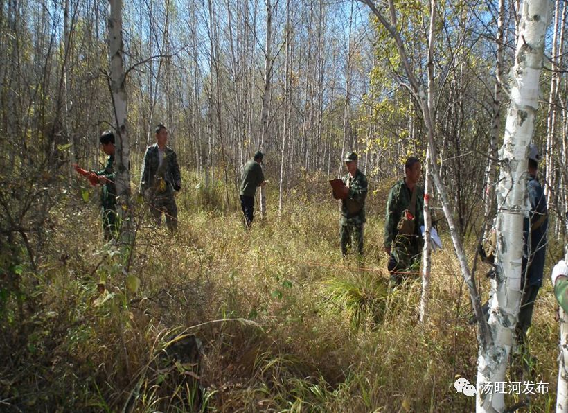 桦皮窑林场加强交通建设，现代化交通网络助力林区通达能力提升