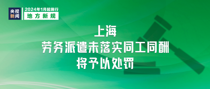 嘉定区人力资源和社会保障局最新招聘信息全面解析