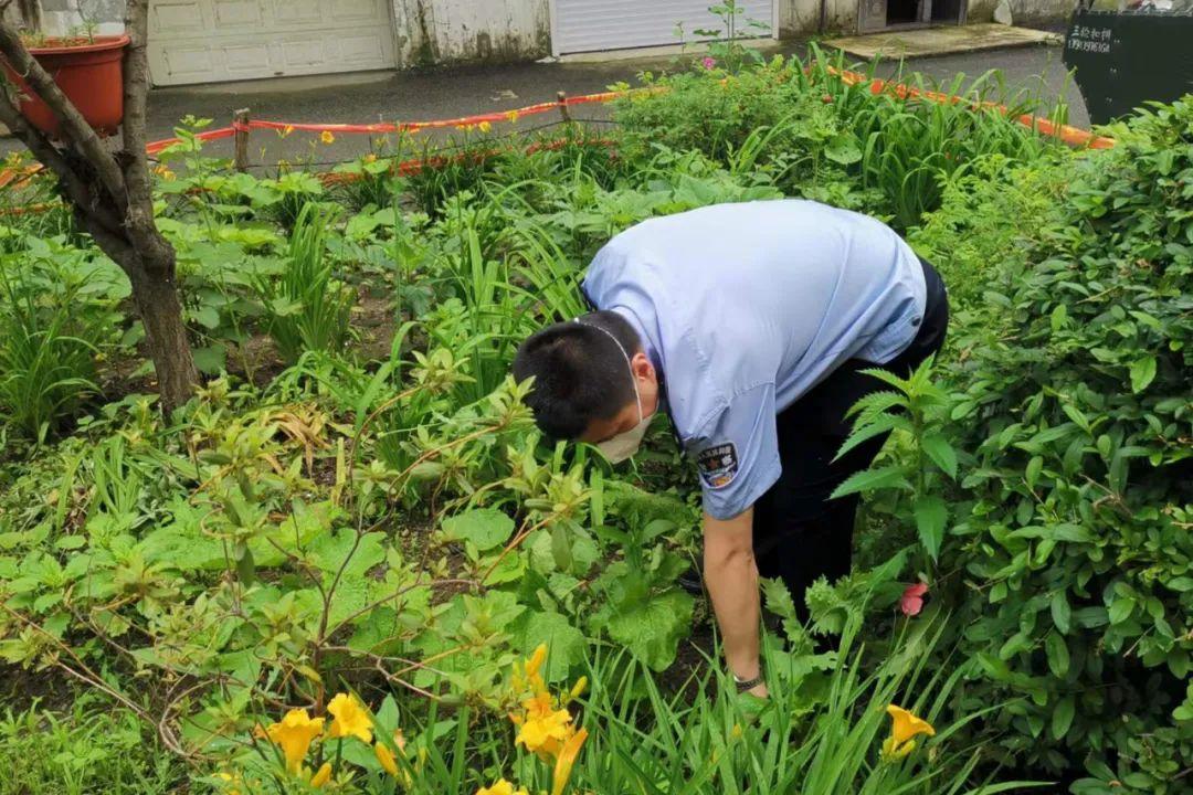 临江市公安局现代化警务体系发展规划，提升城市安全水平