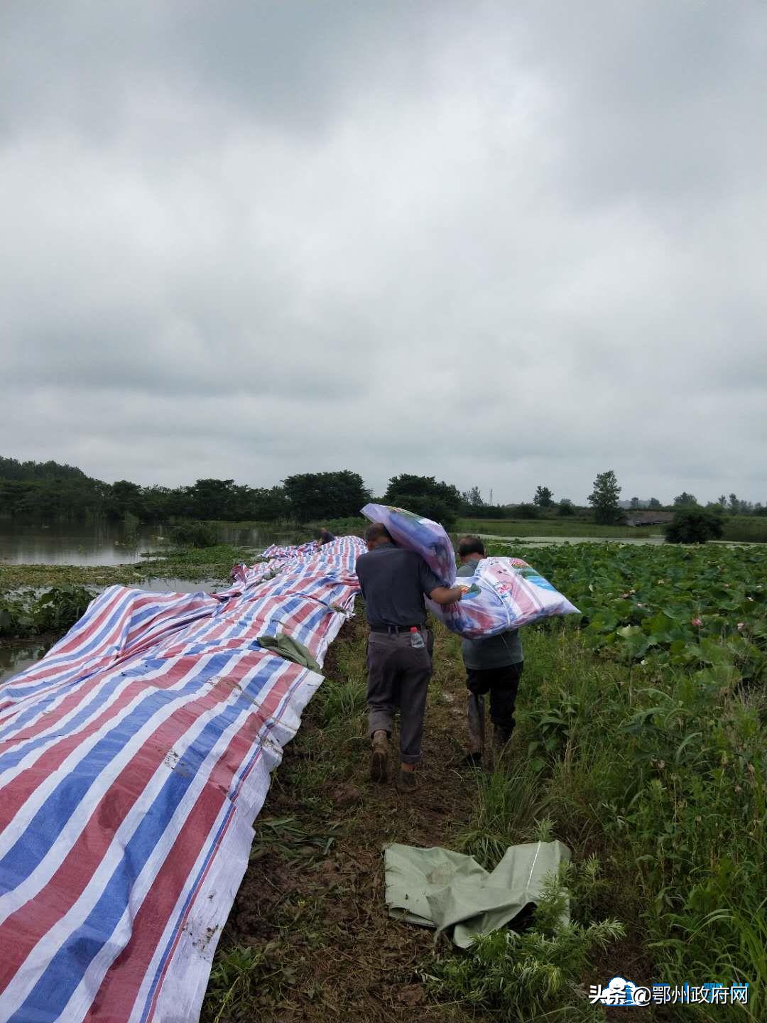 梁子湖区人民政府办公室领导团队最新概述