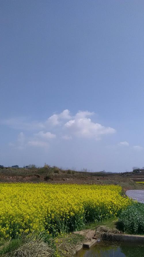 项铺镇天气预报更新通知