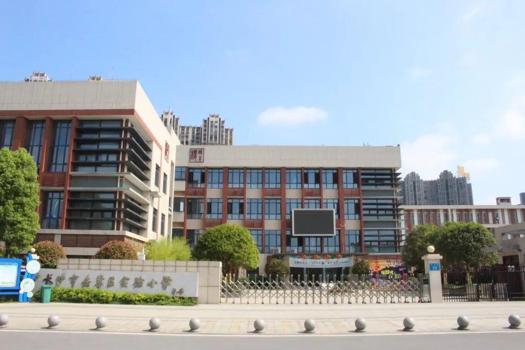 岳麓区小学全新招聘启事概览